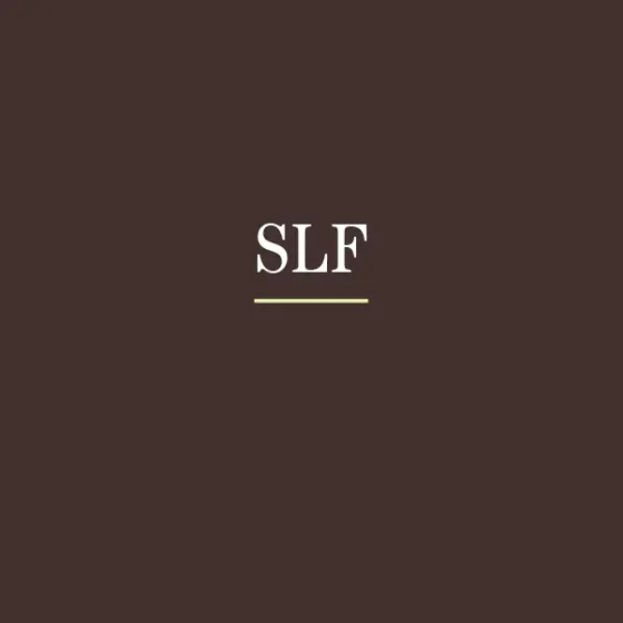 agentur01-slf