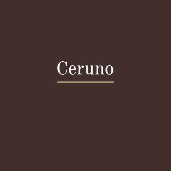 agentur01-ceruno