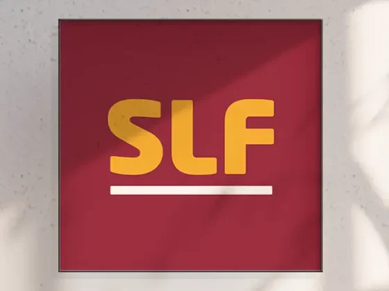 agentur01bern-slf-corporate-thum2025