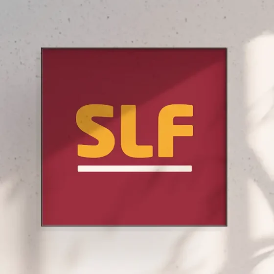 agentur01bern-slf-corporate-thum2025